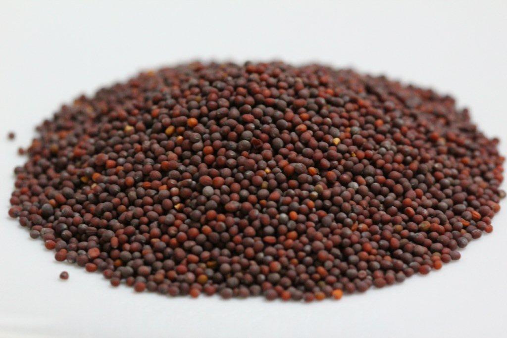 Mustard Seeds Manufacturer Supplier Wholesale Exporter Importer Buyer Trader Retailer in Unjha Gujarat India